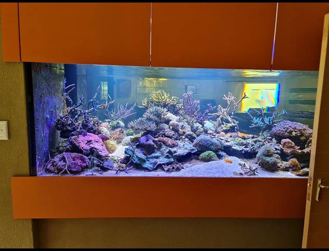 5 BEDROOM PROPERTY TO RENT IN EDENBURG